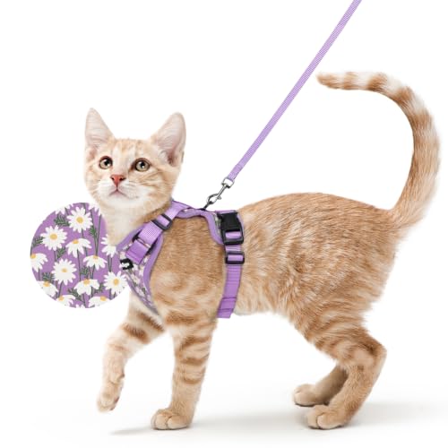 Cat Harness and Leash Set (S / Purr-ple Daisy)