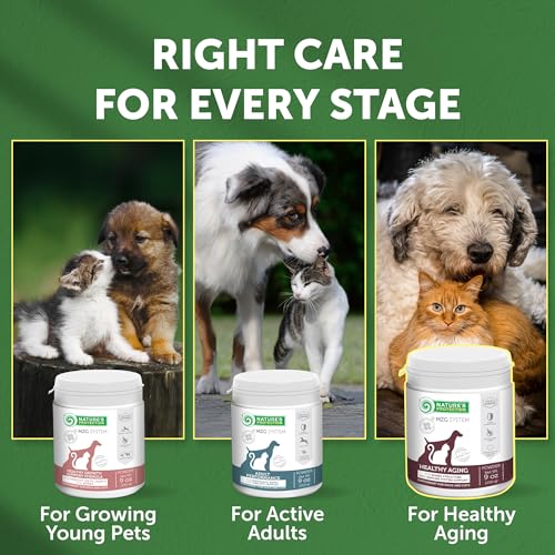 Bones & Immune Supplement Powder for Senior Dogs