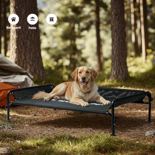 Elevated Dog Bed for Medium Size Dog (Black / Medium)