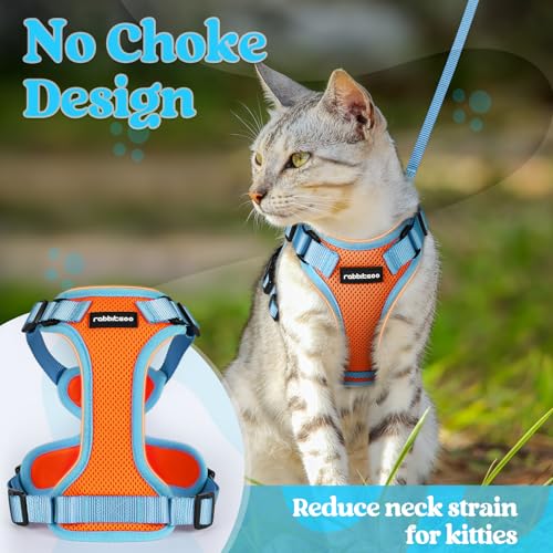 Cat Harness and Leash Set (Orange & Light Blue / Xs)