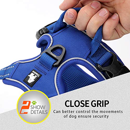 Truelove No Pull Dog Harness with Easy Control Handle and 2 Leash Attachments (X-Large / Royal Blue)