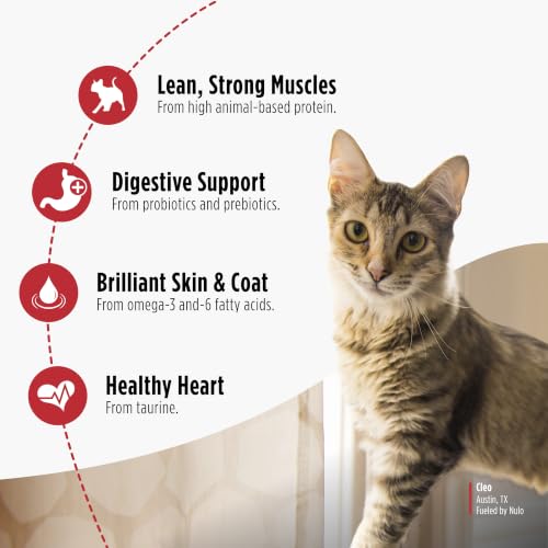 FreeStyle Dry Cat Food Indoor (14 Pound (Pack of 1))