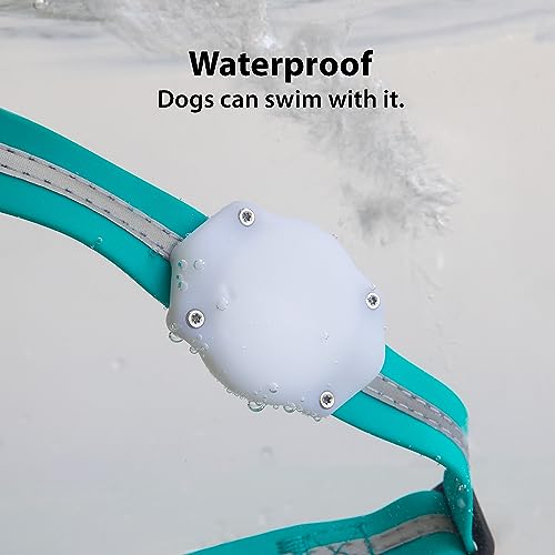 AirTag Dog Collar Holder (2 Pack (Glow in the Dark))