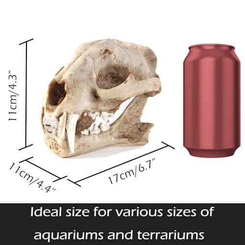 Aquarium Décor Cave Decorations Fish Hideout Betta Tarantula Reptile Snake for Terrarium Ornament Dinosaur Animal Skull Large Bones Halloween (Leopard)