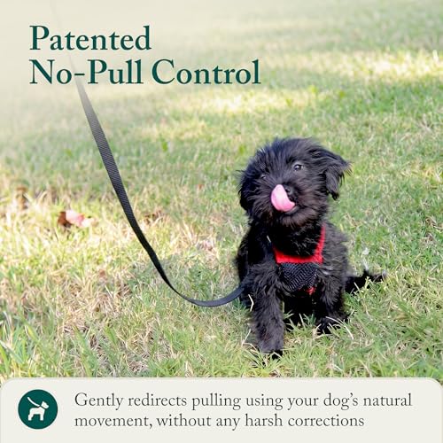 No Pull Dog Harness (Small / Red)