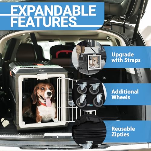 Collapsible Pet Carrier (Medium - Gray / without kit)