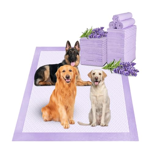 Lavender Scented Thicken 6 Layers Heavy Absorbent 30"x36" Pet Training Dog Pee Pads (Lavender Scent - 30"x36")