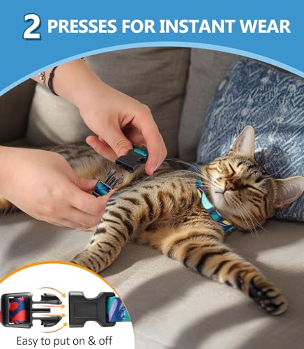 Cat Harness and Leash Set (Morandi Green / Small (4-10 lb))
