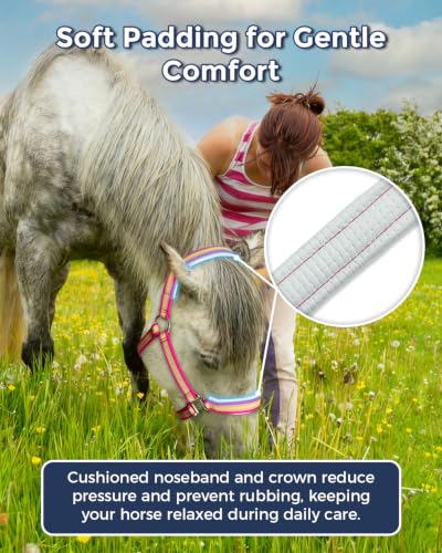 Adjustable Horse Halter (PINK / Pony)