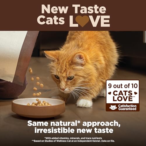CORE+ Digestive Health Adult Dry Cat Food (5 Pound (Pack of 1))