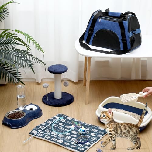 10 Pcs Kitten Starter Kit for Indoor (Classic / Medium / Dark Blue)