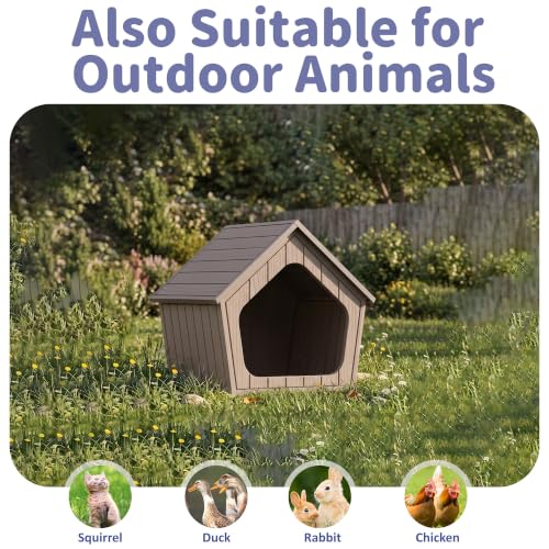 Outdoor Dog House for Small Dogs (Grey / XSmall Dog: 22.8 Inch)