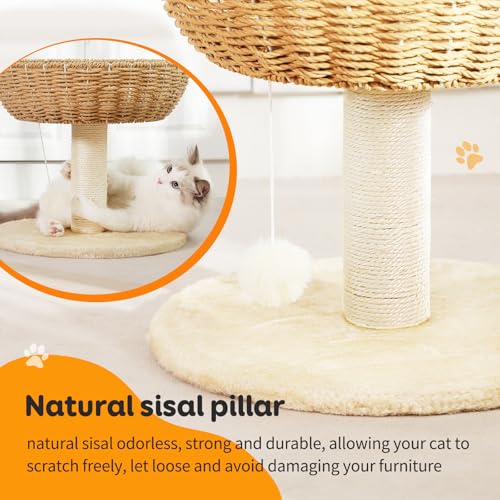 Small Cat Tree with 17.5 (4)