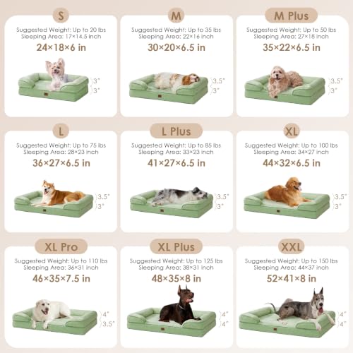 Orthopedic Dog Bed Medium Size Dog (Sage Green / 30.0"l X 20.0"w X 6.5"th)
