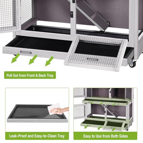 Rabbit Hutch Indoor with Chew