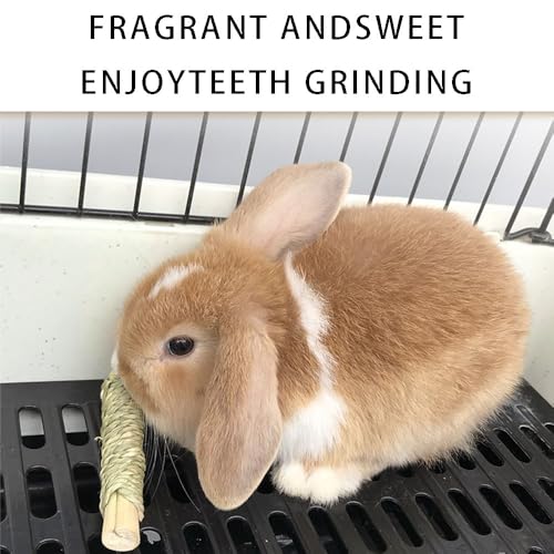 Rabbit Toys 30Pcs 3 Flavours for Teeth Grinding (30Pcs)