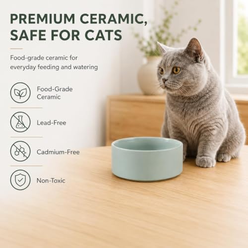 Cat Bowls Set of Two (Light Green)