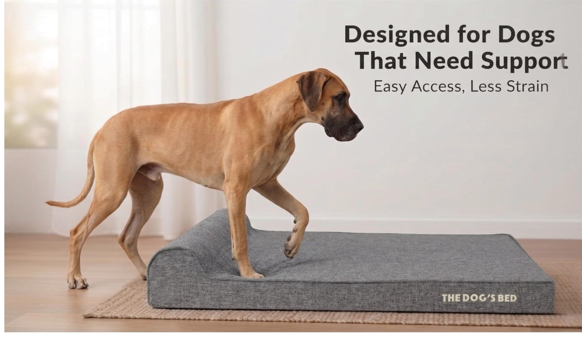 The Dog’s Bed Orthopedic Memory Foam Dog Bed with Headrest XL (Grey Linen / XL (46"L x 28"W x 4"Th))