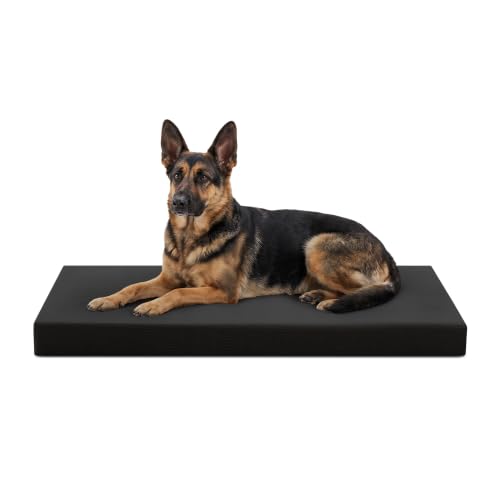 Tough Ripstop Orthopedic Crate Bed (X-Large (47" L x29" W x 4" H) / Obsidian Black)