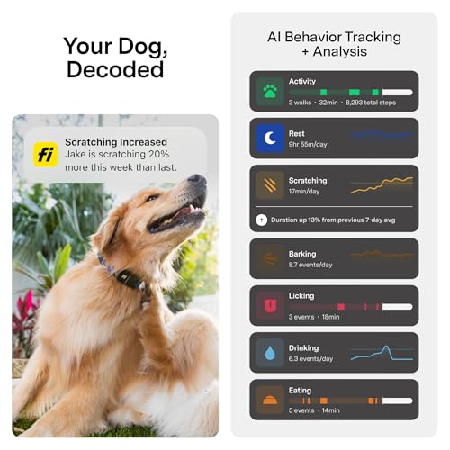 Series 3+ GPS Dog Collar & Tracker (Blue / Medium)