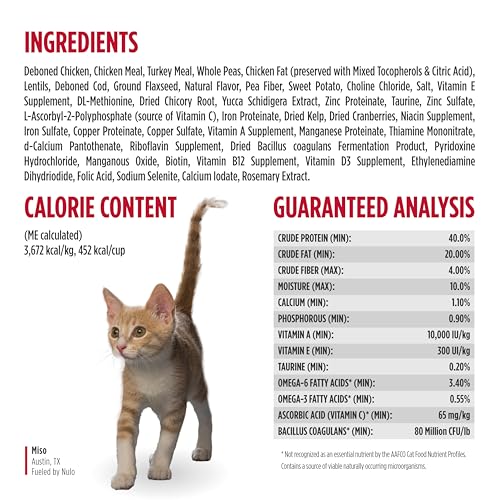 Freestyle Cat & Kitten Dry Food (14 Pound (Pack of 1))