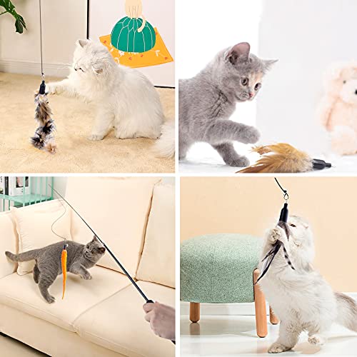 Retractable Cat Wand Toys