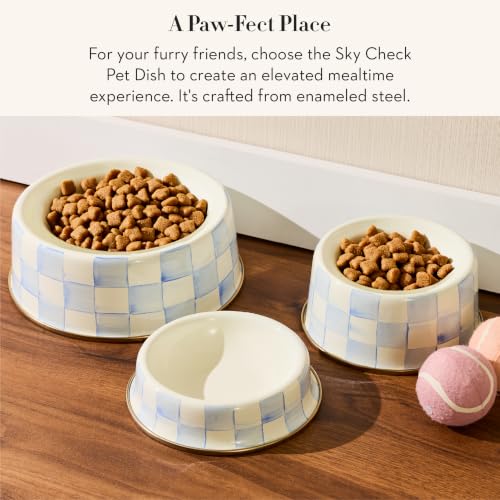 Enamel Pet Dish (Sky Check / Medium)