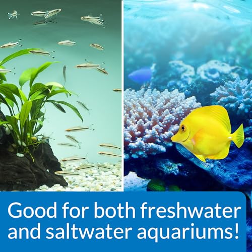 STRESS ZYME Freshwater and Saltwater Aquarium Cleaning Solution 16 (16 oz)