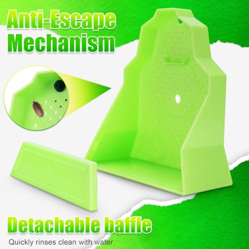 Reptile Anti Escape Feeding Bowl (Wall-Mounted Feeding Bowl / Medium)
