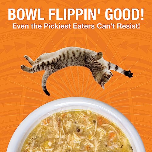 Pure Shreds Chicken Entrée for Cats (2.8 Ounce (Pack of 24))
