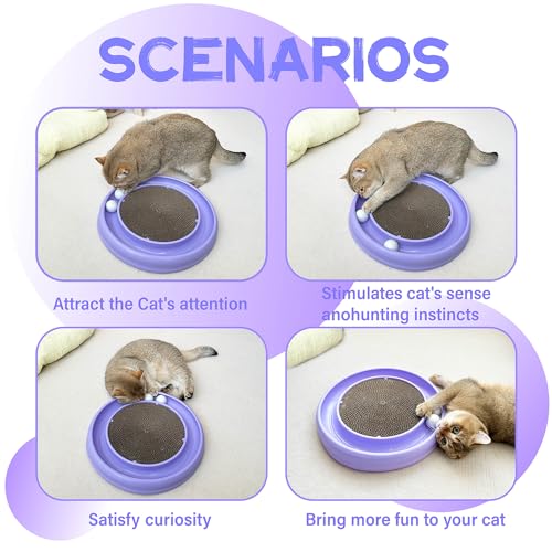 Interactive Cat Ball Track Toy for Indoor Cats (Purple)