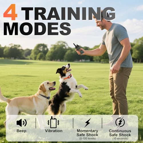 Dog Shock Collar 2 Dogs (2 collars with remote)