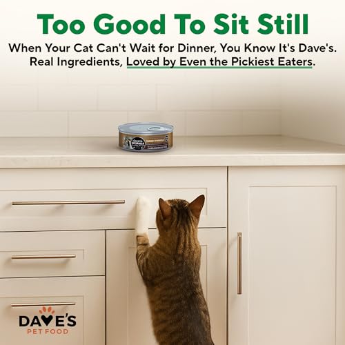 Gain Free Wet Canned Cat Food (5.5 Ounce (Pack of 24))