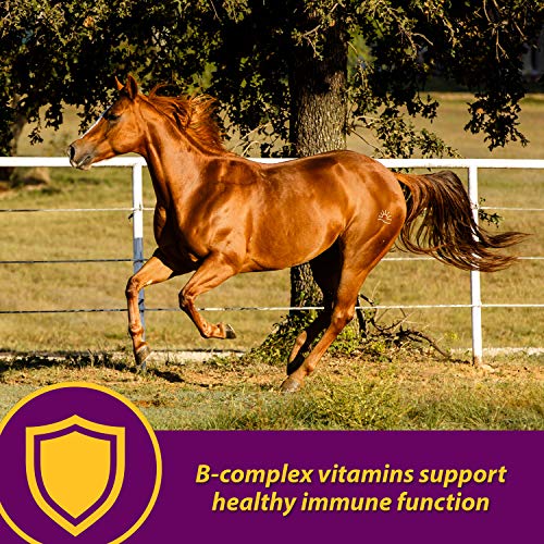 Farnam Horse Health Red Cell Pellets (Brown / 4 Pound (Pack of 1))