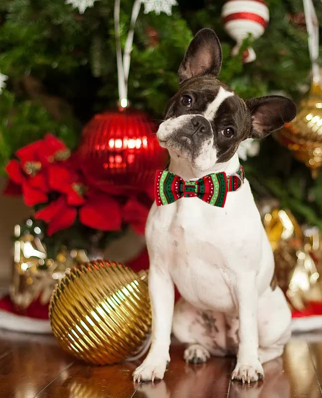 Dog Collar with Bowtie (XX-Small (Pack of 1) / Red&Green Dot)