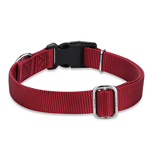 Red Puppy Collar (Small / Red)