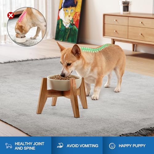 Elevated Dog Bowl Stand for Small Dogs (Small - 2 Pack)