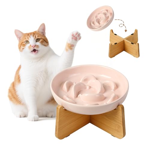 Elevated Ceramic Slow Feeder Cat Bowl (Pink Elevated (Bamboo) / 3.7"H Elevated (Bamboo))