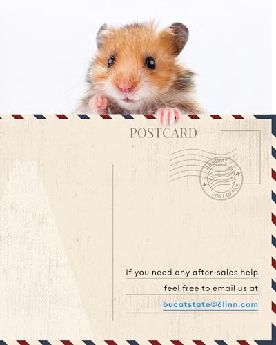 Hamster Cage 3.0 (47"L x 23.6"W x 25.5"H / Black)