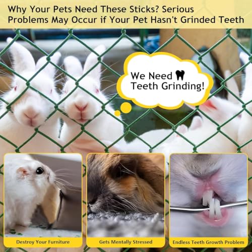 2000g Organic Apple Sticks Small Animals Teeth Grinding Chew Toy (4.41 Pound (Pack of 1))