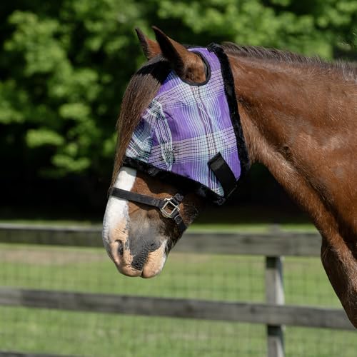 Kensington Draft Fly Mask w (181-kentucky Blue)