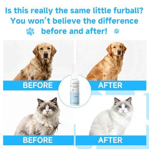 Pet Steam Brush for Dogs (3.54'' - 400ML / Blue)