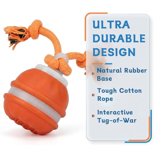 Zealburst Interactive Dog Toy Ball (Orange)