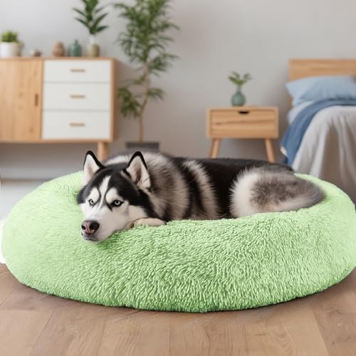 Extra Large Dog Beds (Green / 36.0"L x 36.0"W x 8.0"Th)