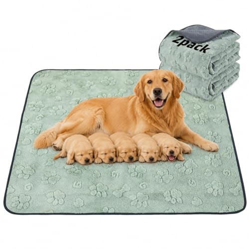 Whelping Pads 48"x48" (Green Dog Element / 48"x48"(Pack of 2))