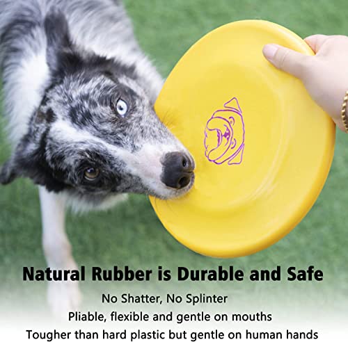 Dog Flying Disc (Black & Yellow & Red)