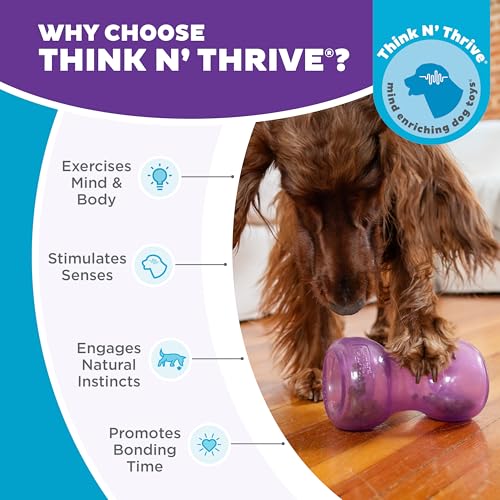 Double Snoop Interactive Treat Dispensing Dog Toy (Large)