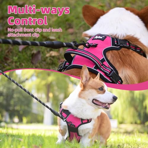 No Pull Dog Harness Small Sized (Fuschia / Small)