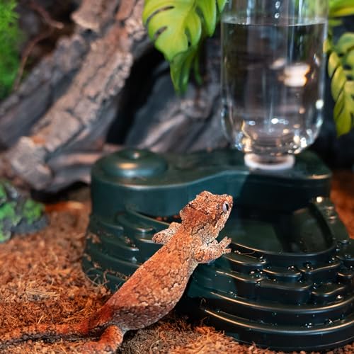 Water Feeder and Fogger