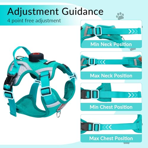 Cat Harness and Leash Set with AirTag Holder (Green (Holder for Airtag) / L)